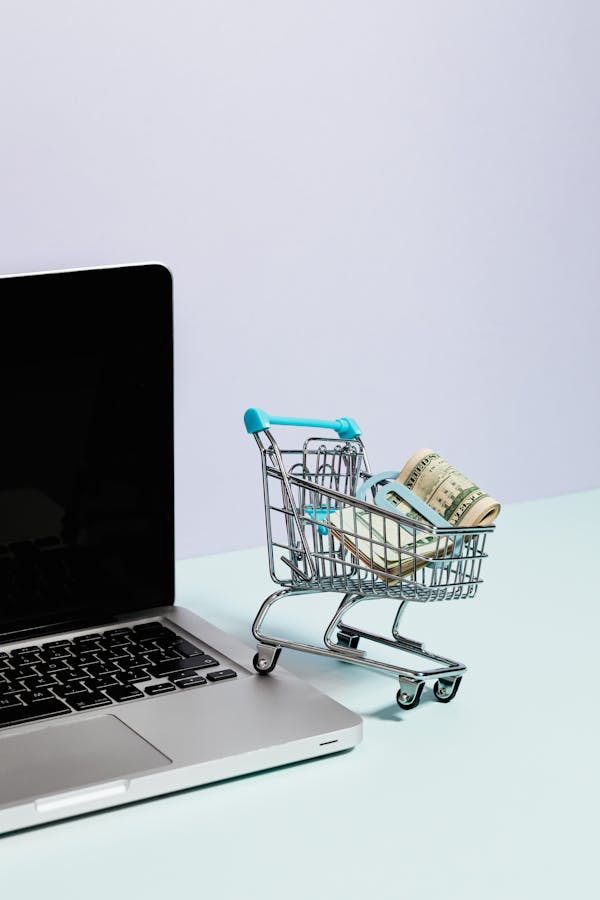 Simple Solutions for Building an eCommerce Site on Your Own